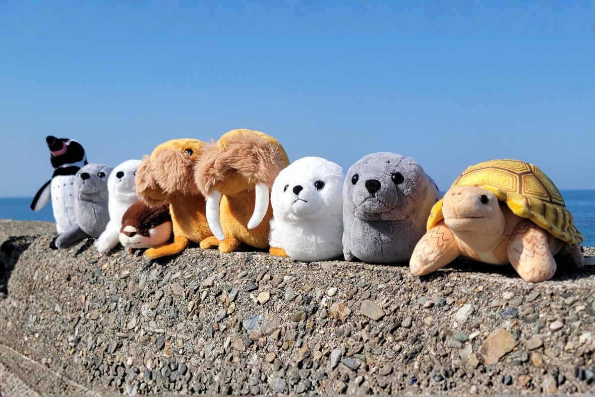 公式】伊勢シーパラダイス オンラインショップ｜水族館限定グッズと